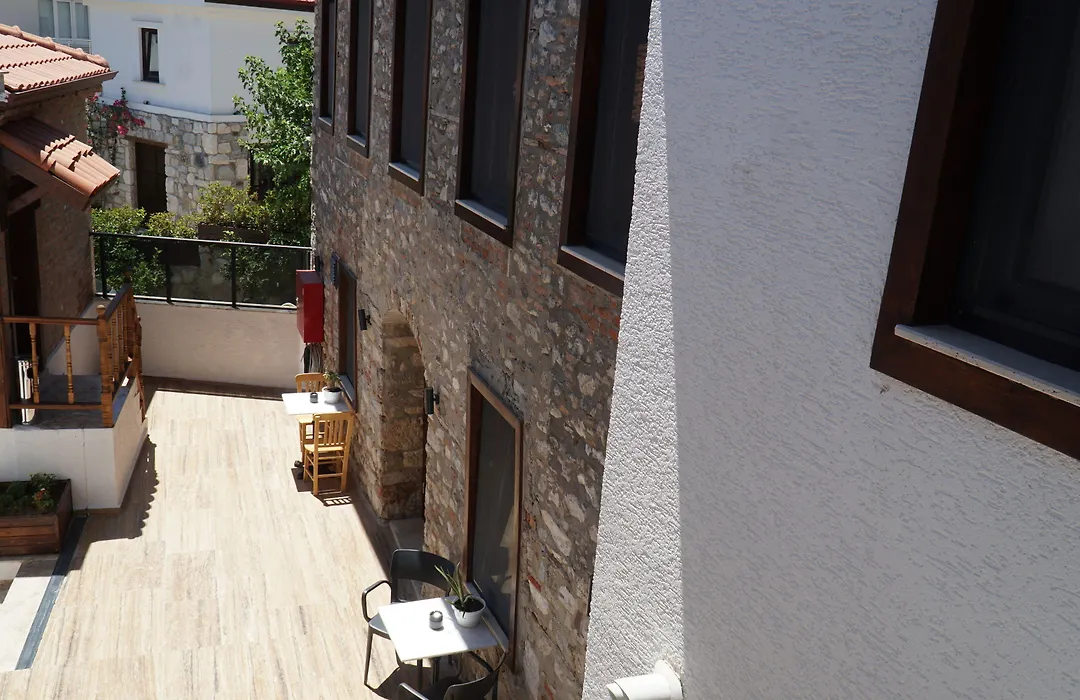Pikan Ephesus-1