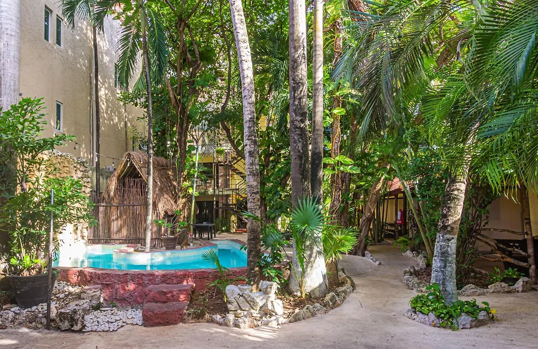 Hotel B&B - Playa Del Carmen-1