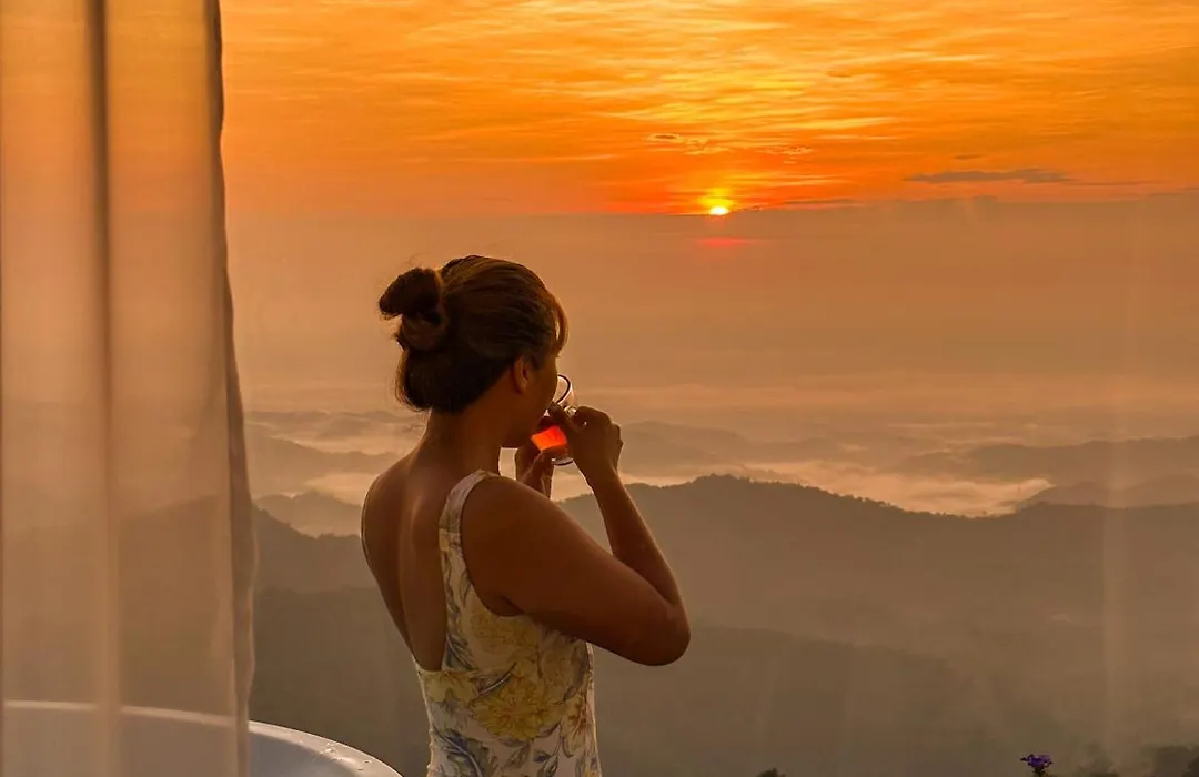 Above The Clouds - Chiang Rai-1