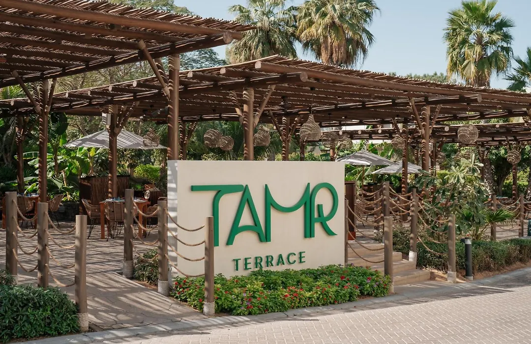 Ja Palm Tree Court, Dubai-1