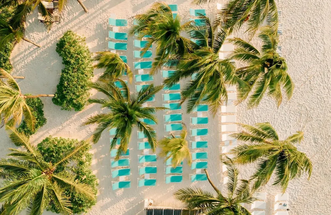 Catalonia Royal Tulum Beach & Spa Resort Adults Only-1