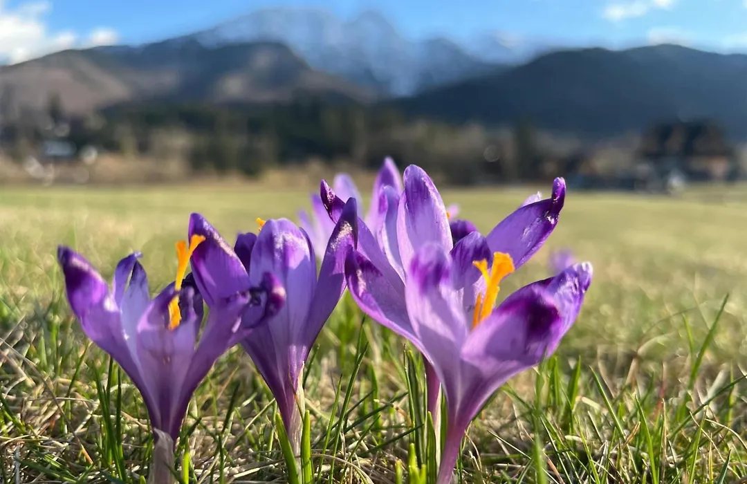 Radisson Blu Hotel & Residences Zakopane-1