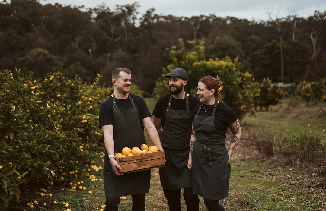Yarra Valley Lodge-1
