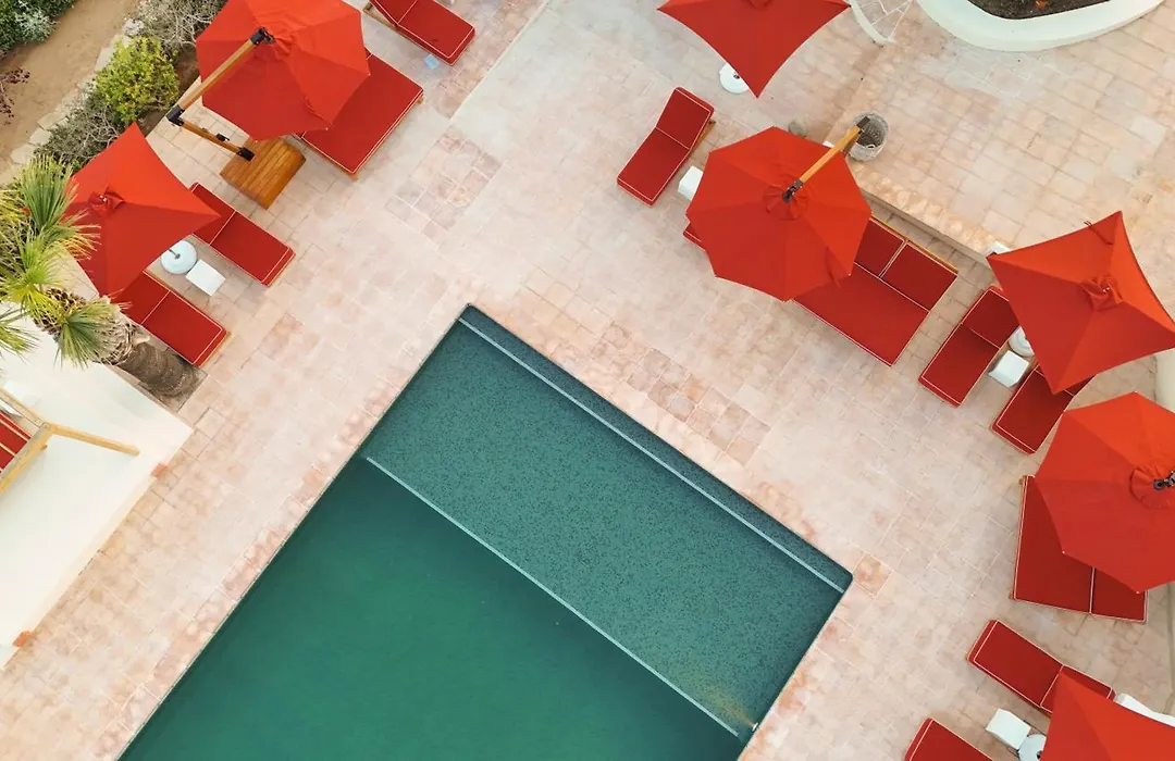 Petunia Ibiza, A Beaumier Hotel (Adults Only)-1
