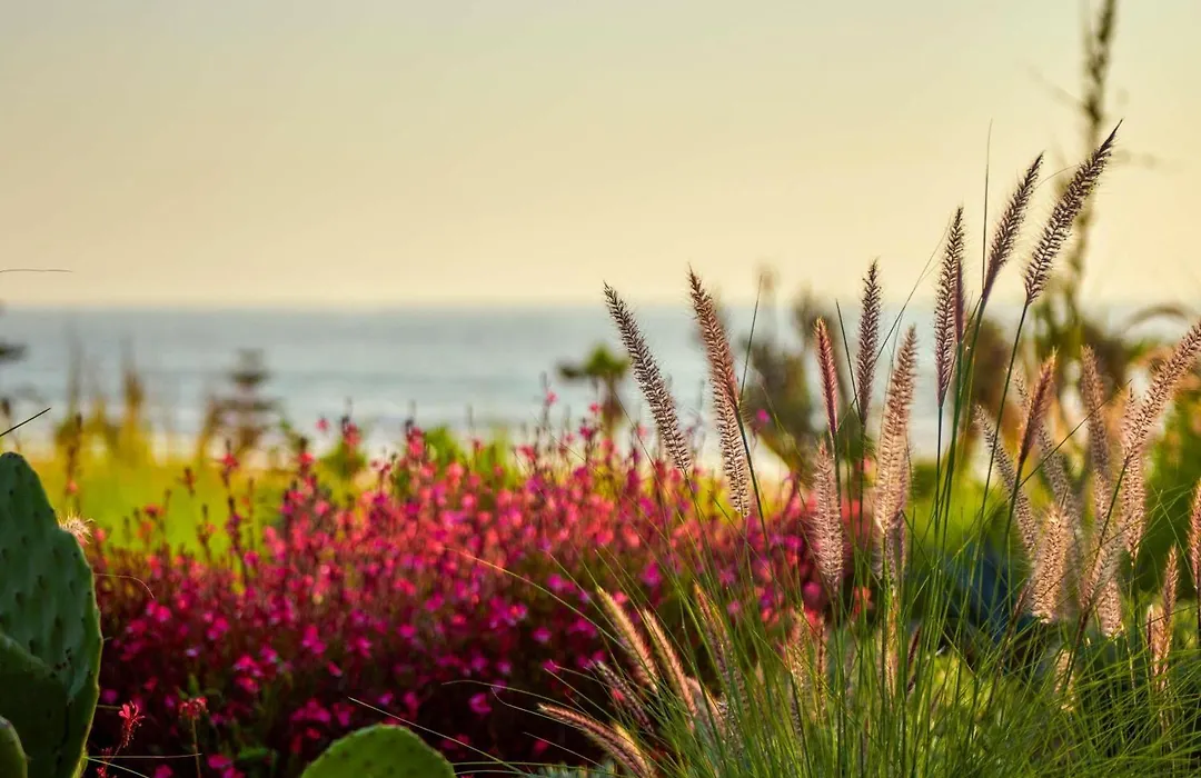 Fairmont Taghazout Bay-1