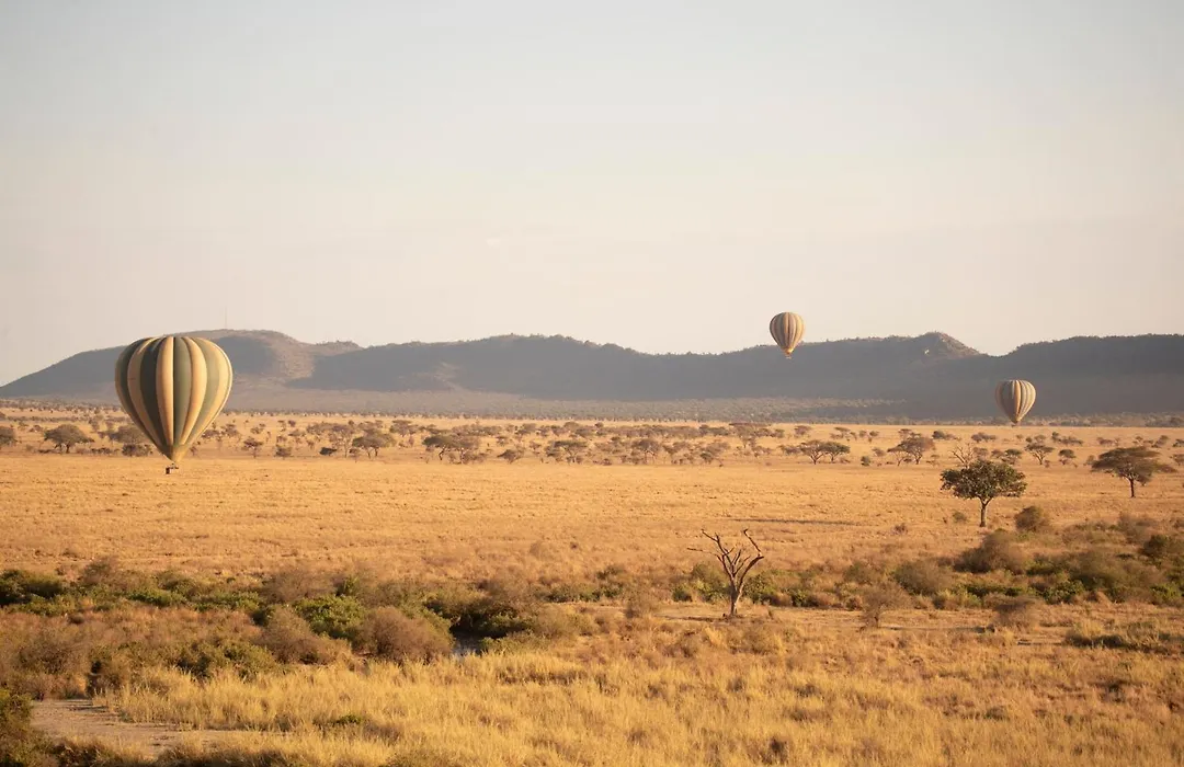 Melia Serengeti Lodge Member Of Melia Collection-1