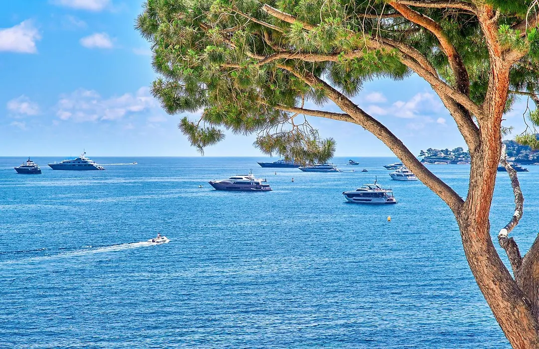La Réserve de Beaulieu-1