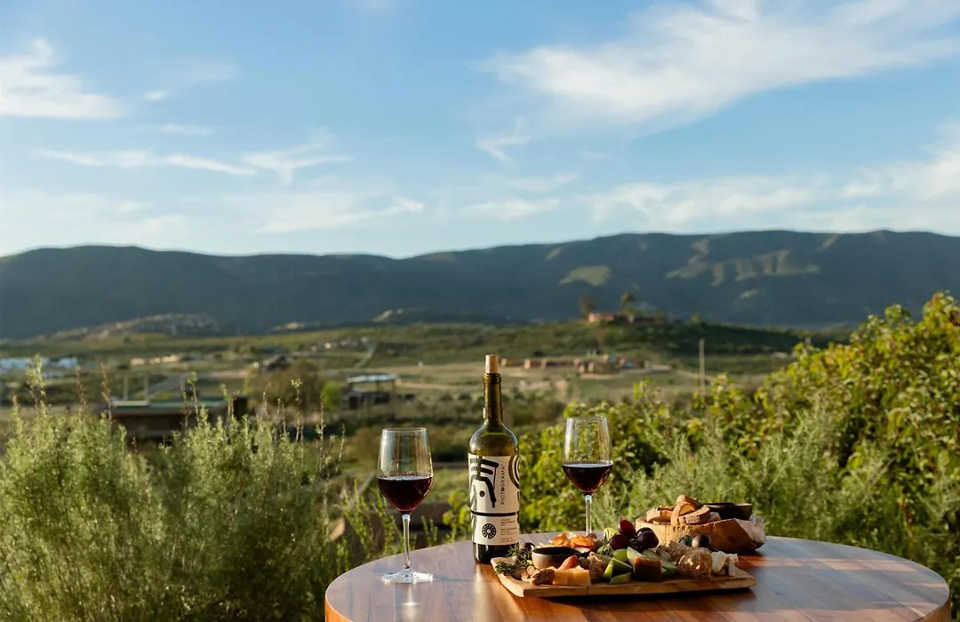 Banyan Tree Veya, Valle De Guadalupe-1
