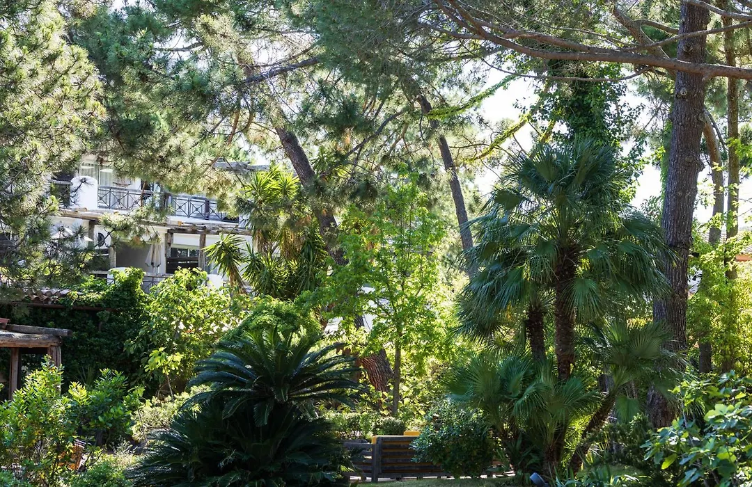Grand Hotel De Cala Rossa & Spa Nucca-1