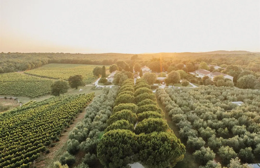 Meneghetti Wine Hotel&Winery - Relais&Chateaux-1