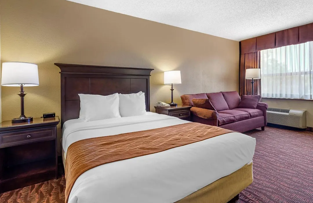 Comfort Inn At Thousand Hills-1