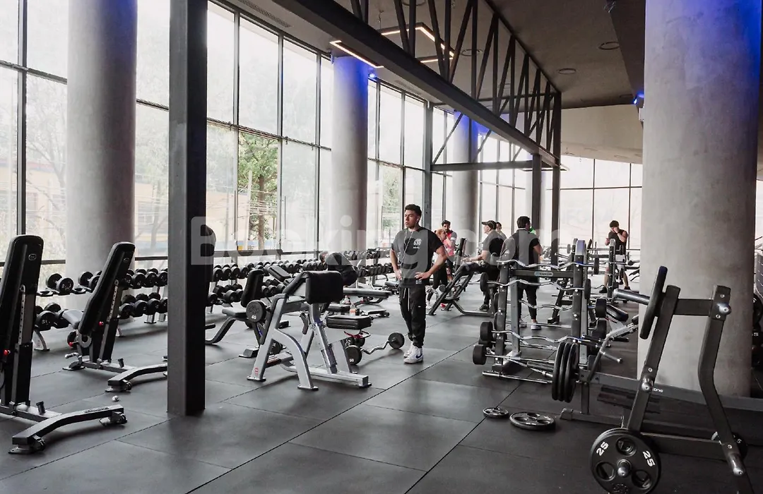 Hs Hotsson Cdmx Condesa Sur-1