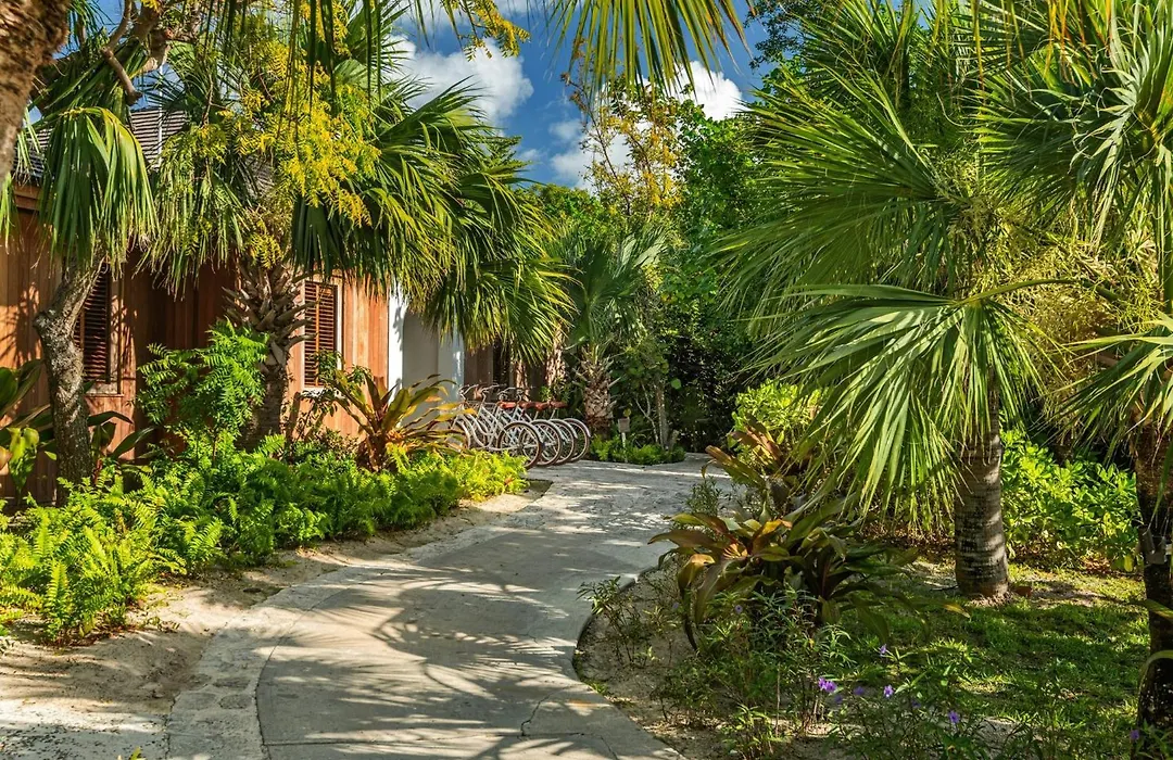Como Parrot Cay-1