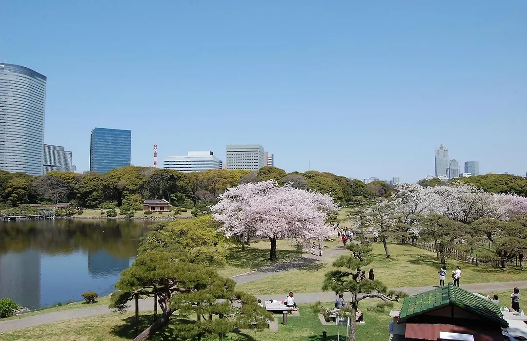 Intercontinental Tokyo Bay By Ihg-1