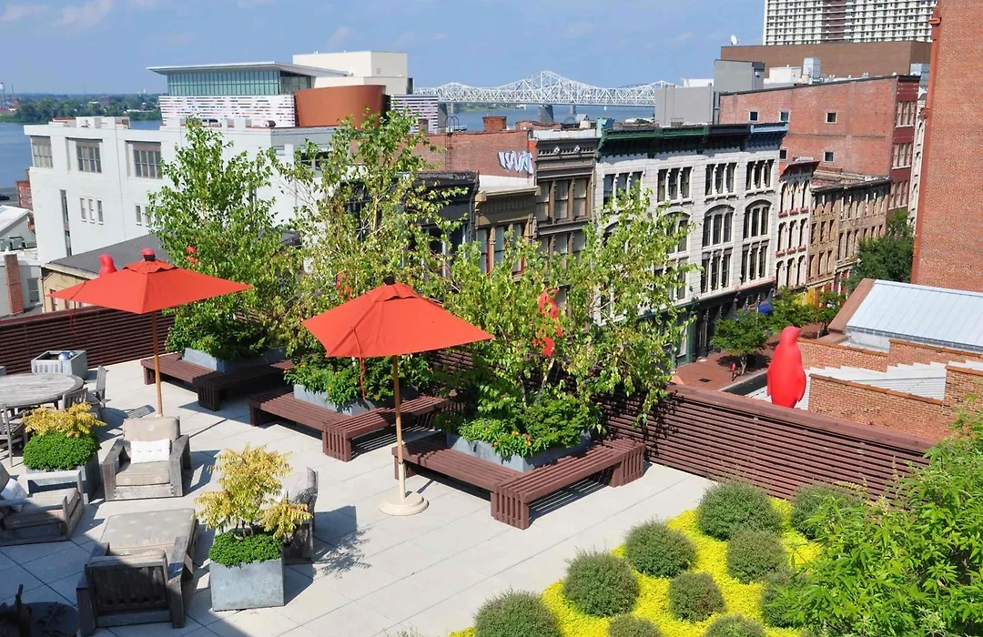 21C Museum Hotel Louisville-1