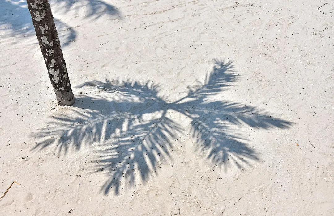 Amaite Holbox - Oceanfront Hotel-1