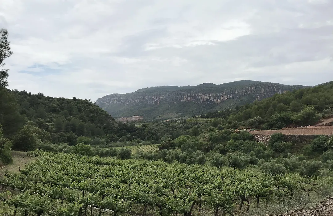 Terra Dominicata - Hotel & Winery - Adults Only-1