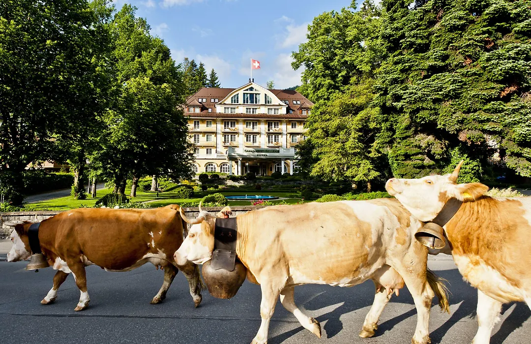 Le Grand Bellevue-1