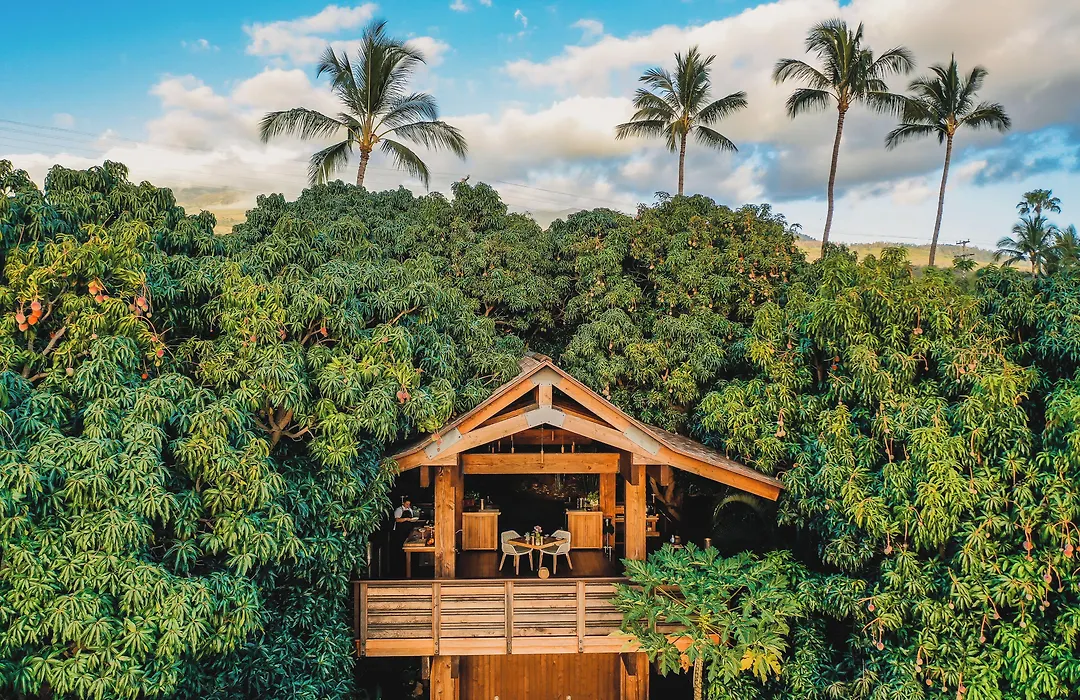 Hotel Wailea Maui (Adults Only)-1