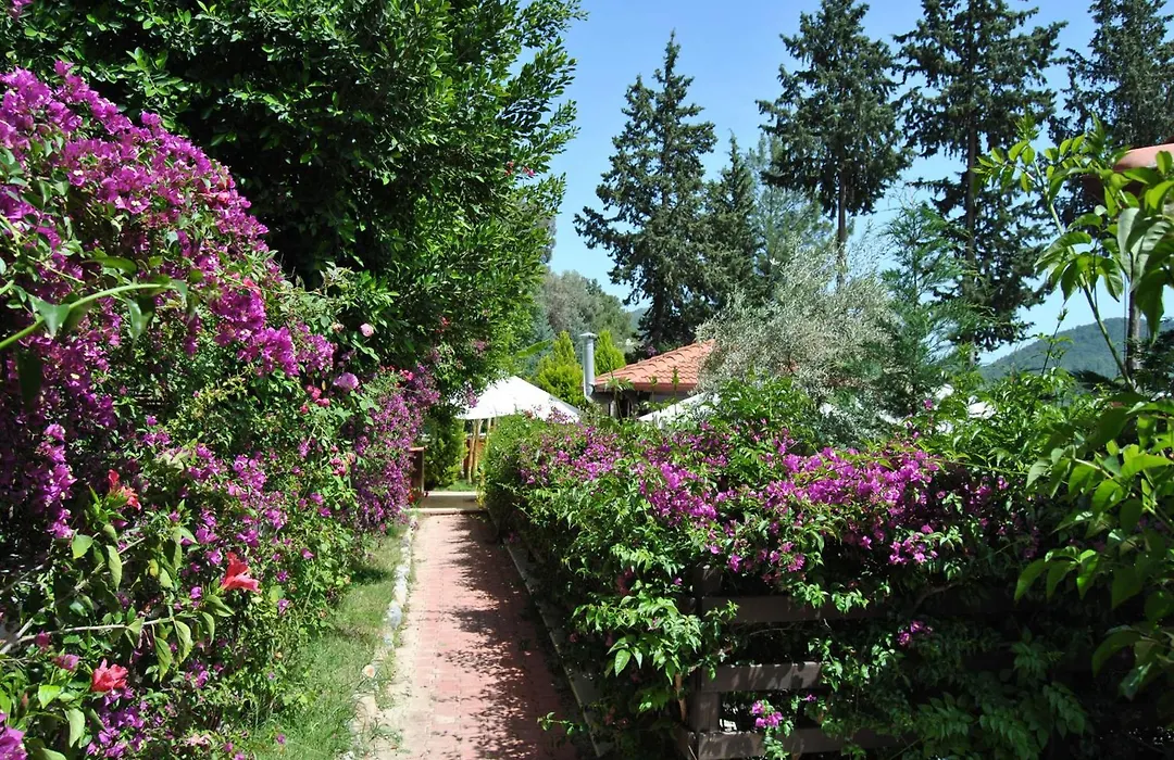 Alya Hotel Goecek-1
