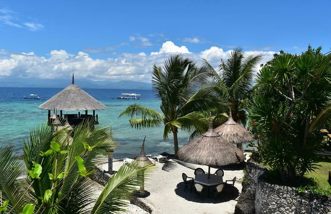 Dolphin House Resort Moalboal-1