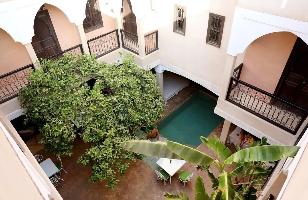 Riad L'Oiseau Du Paradis-1
