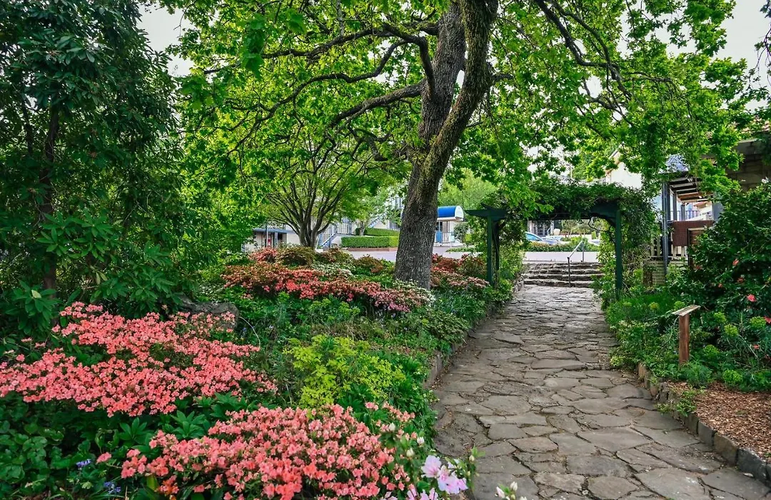 Nesuto Leura Gardens-1