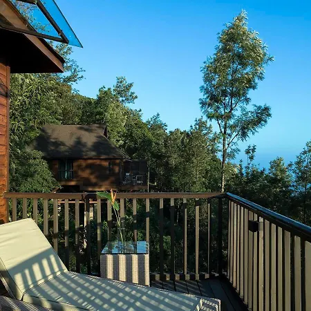 The Tamara Coorg-3