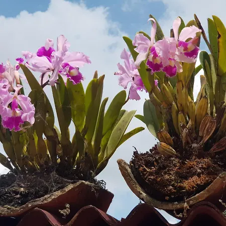 Atha Ka'I Ecofinca-2