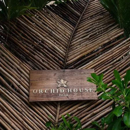Orchid House Tulum Jungle-2