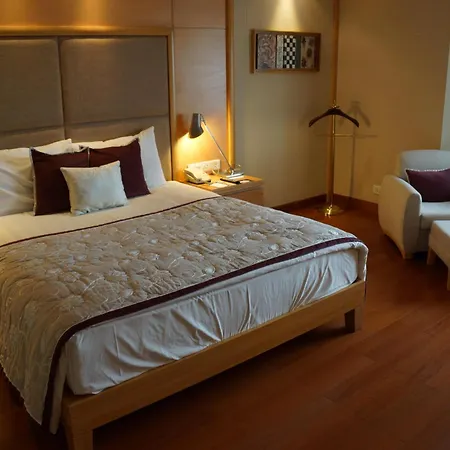 Jaypee Vasant Continental-2