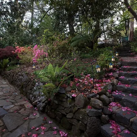 Linden Gardens Rainforest Retreat-2