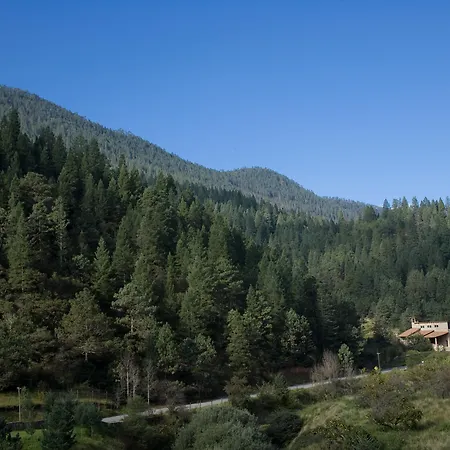 Bosques de Monterreal-2