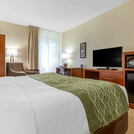 Comfort Inn & Suites Lenoir Hwy 321 Northern Foothills-3