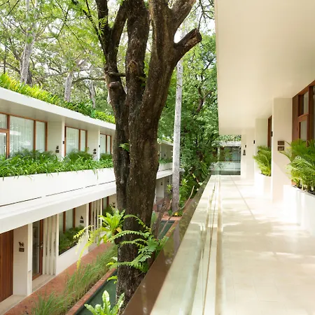 Fcc Angkor By Avani-2