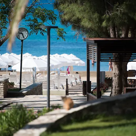 Arum Barut Collection-3