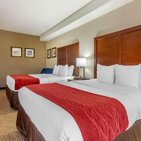 Comfort Inn Lenoir City-Knoxville-2