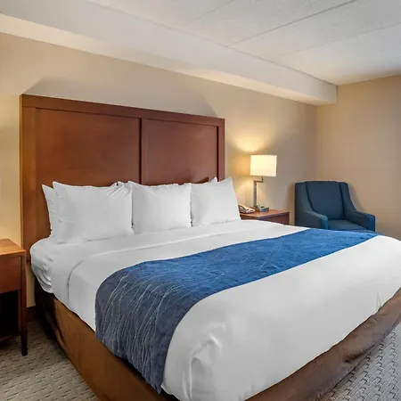 Comfort Inn Shady Grove - Gaithersburg - Rockville-2