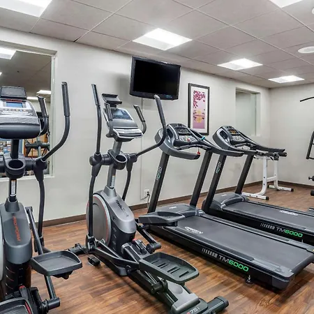 Comfort Inn Shady Grove - Gaithersburg - Rockville-3