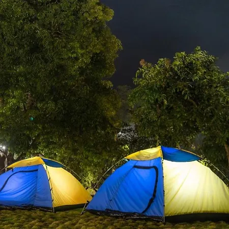 Dandeli Jungle Resort-3