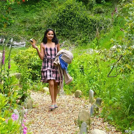 Enniskeen Estate & Forest Spa - Boutique Riverside Glamping Cabins-3