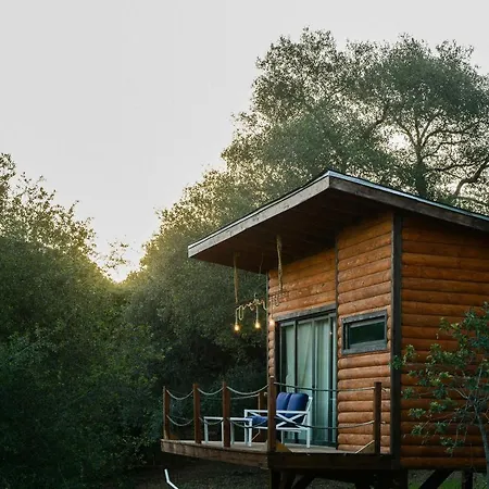 Boskenvid Hotel - Romantic Treehouses & Skypool-2