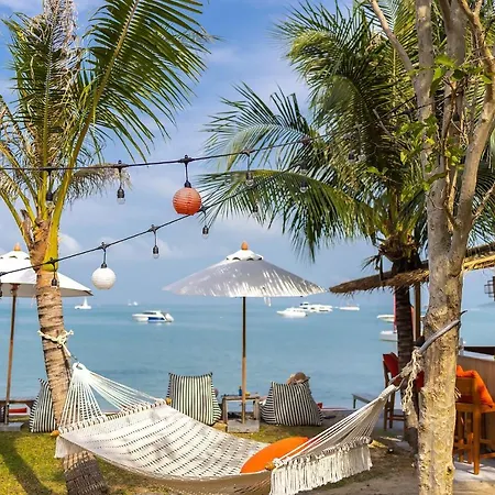 The Culture Samui-2