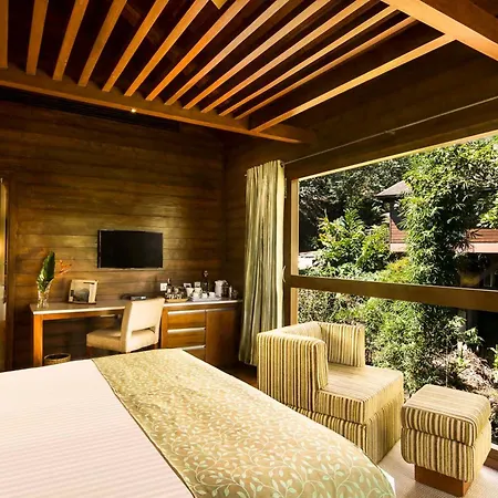 The Tamara Coorg-2