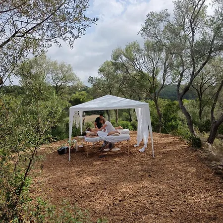 Fincahotel Treurer - Olive Grove & Grand House - Adults Only-3