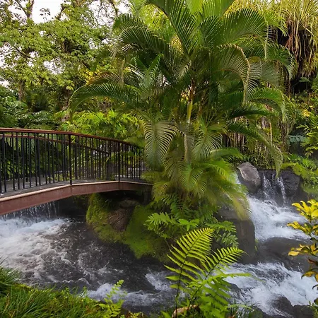 Tabacon Thermal Resort & Spa-2