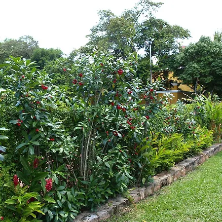 Ecotel Quinta Regia-2