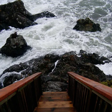 Reef Point Oceanfront Bed And Breakfast-3