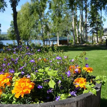 Alaska'S Lake Lucille Bed & Breakfast-2