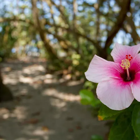 Gitana del Mar Beach Retreat-3